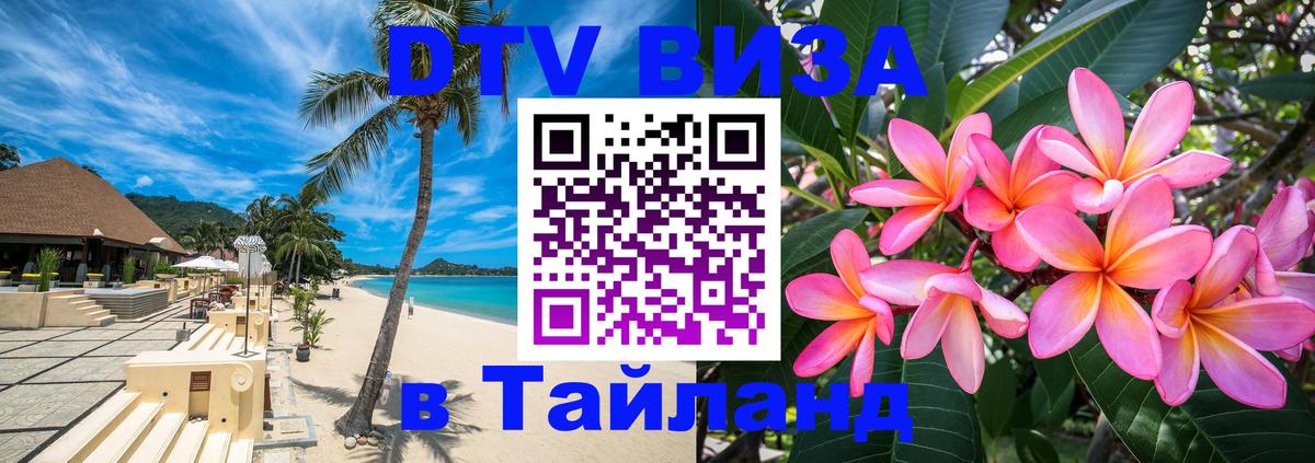 Сколько стоит DTV виза — актуальные цены, оформление даже без документов - 03.10.2025 