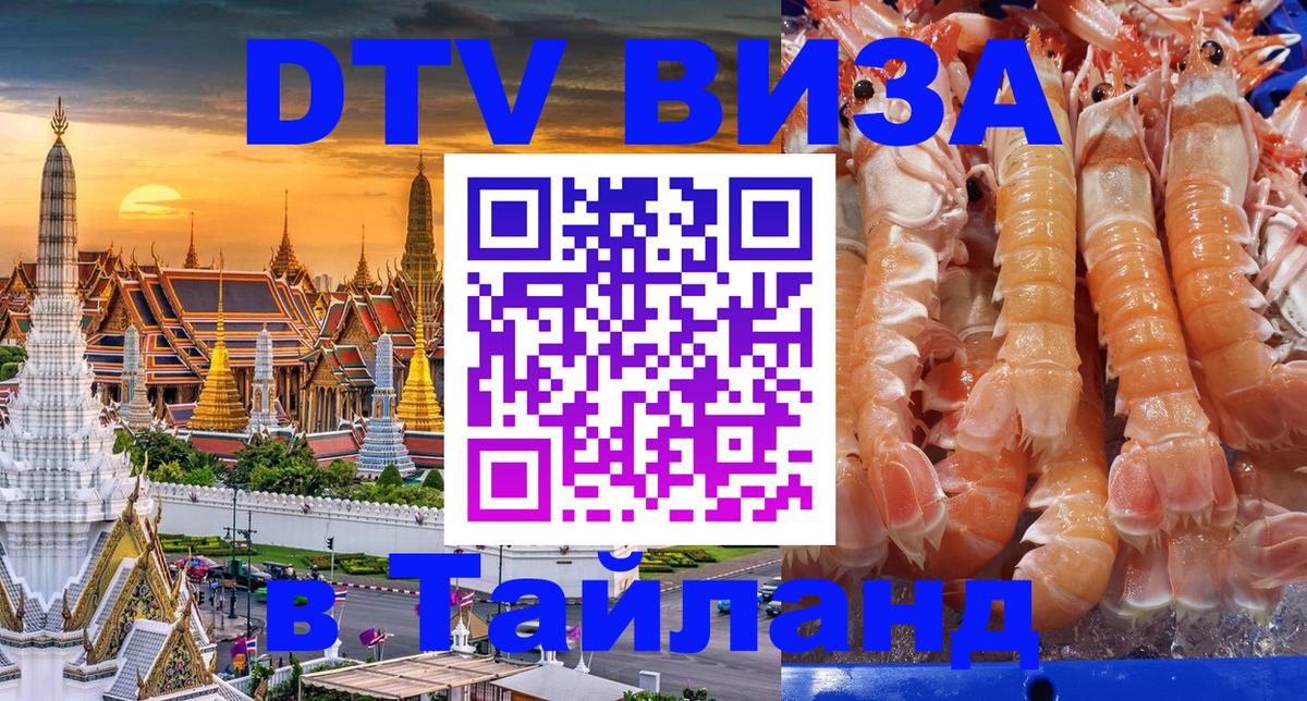 Оформление DTV визы под ключ: стоимость и тарифы, только загранпаспорт - 